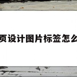 网页设计图片标签怎么做(网页设计图片标签怎么做出来)