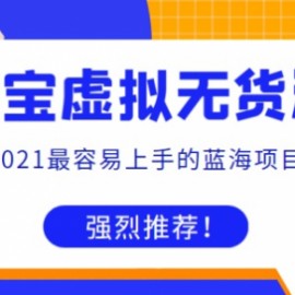 全实战，全方位，纯干货淘宝虚拟无货源