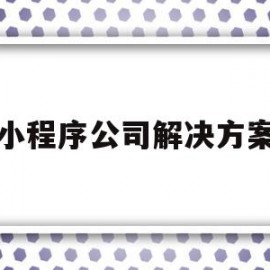 小程序公司解决方案(小程序公司解决方案怎么写)