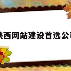 陕西网站建设首选公司(陕西网站建设首选公司是什么)