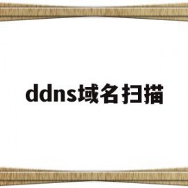 ddns域名扫描(dns扫描是啥意思)