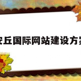 安丘国际网站建设方案(安丘国际网站建设方案最新)