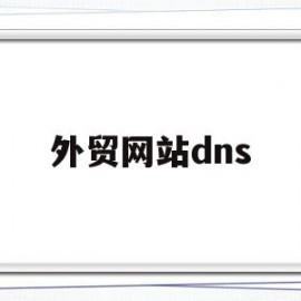 外贸网站dns(外贸网站建设费用)