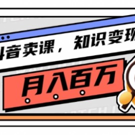 抖音卖课，知识变现、大咖教你如何月入100万（价值699元）