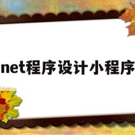 net程序设计小程序(net程序设计的前期基础课程有哪些?)