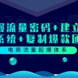 电商流量起爆体系：掌握流量密码+建立爆款系统+复制爆款团队（价值599）