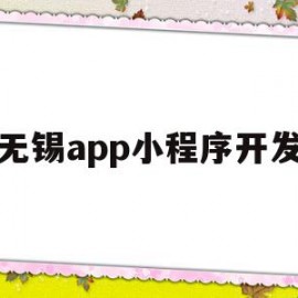 无锡app小程序开发(无锡app小程序开发公司)