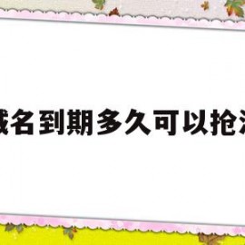 域名到期多久可以抢注(域名到期后多久可以重新注册)