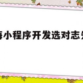 上海小程序开发选对志先科技的简单介绍