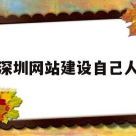 深圳网站建设自己人(深圳网站建设公司)