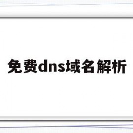 免费dns域名解析(免费dns域名解析)