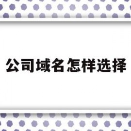 公司域名怎样选择(公司域名有什么作用)