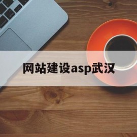 网站建设asp武汉(武汉网站建设方案开发)