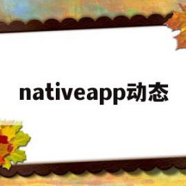 nativeapp动态的简单介绍