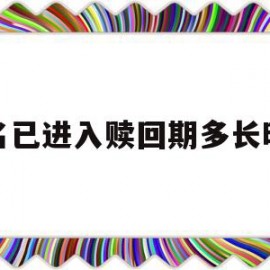 域名已进入赎回期多长时间(域名进入赎回期不赎回可以吗)