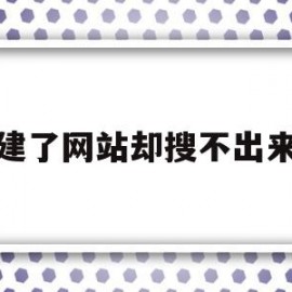 建了网站却搜不出来(建了网站却搜不出来怎么回事)