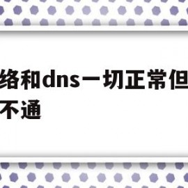 网络和dns一切正常但域名不通(网络连接上但上不了网,dns配置错误)