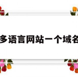 多语言网站一个域名(多语言站点每个站点可以发布的产品上限为100个)