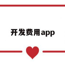 开发费用app(开发费用扣除比例)