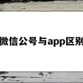 微信公号与app区别(微信公众号和app)