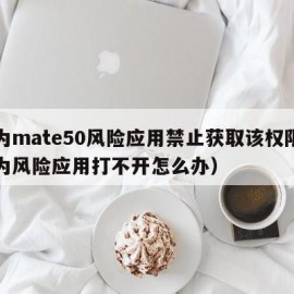 华为mate50风险应用禁止获取该权限（华为风险应用打不开怎么办）