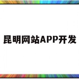 昆明网站APP开发(昆明市app开发团队电话)