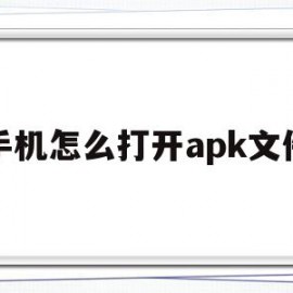 手机怎么打开apk文件(小米手机怎么打开apk文件)