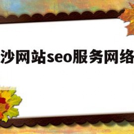 长沙网站seo服务网络服务(长沙seo网络公司)