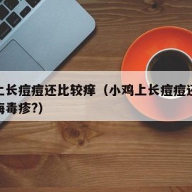 小鸡上长痘痘还比较痒（小鸡上长痘痘还比较痒是梅毒疹?）