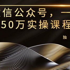 玩微信公众号，一年赚50万实操课程