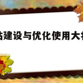 网站建设与优化使用大将军21的简单介绍