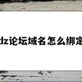 dz论坛域名怎么绑定(dz论坛怎么修改起始uid)