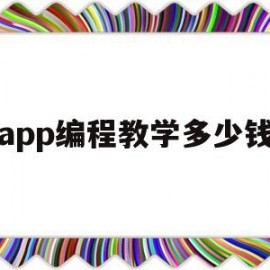 app编程教学多少钱(自学app编程)