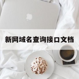 新网域名查询接口文档(新网域名查询接口文档是什么)