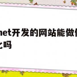 .net开发的网站能做优化吗的简单介绍