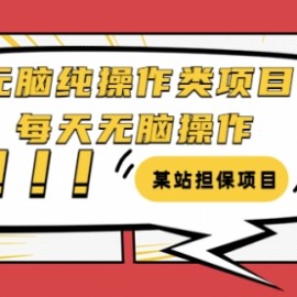 某站担保项目：无脑纯操作类项目，每天无脑操作，需要周转资金【揭秘】