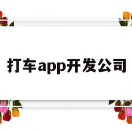 打车app开发公司(打车app开发公司排名)