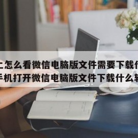 手机上怎么看微信电脑版文件需要下载什么软件（手机打开微信电脑版文件下载什么软件）