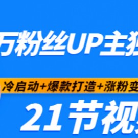 百万粉丝UP主独家秘诀：冷启动+爆款打造+涨粉变现 2个月12W粉