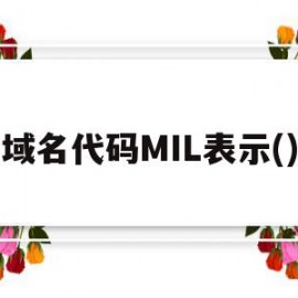 域名代码MIL表示()的简单介绍