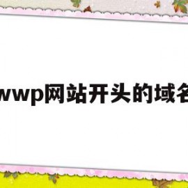 wwp网站开头的域名(web开头的网址安全吗)