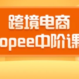 2020跨境电商蓝海新机会-shopee中阶课程：爆款的快速打造全流程