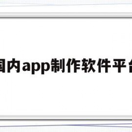 国内app制作软件平台(国内app制作软件平台有哪些)