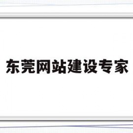 东莞网站建设专家(东莞网站建设专家名单)