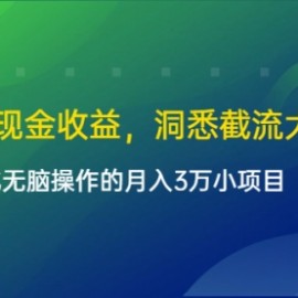 单日500现金收益，洞悉截流大法，一个批量化无脑操作的月入3万小项目