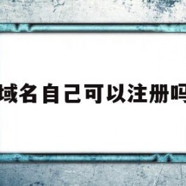 域名自己可以注册吗(域名自己注册好还是给别人注册好呢)