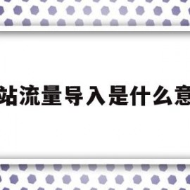 网站流量导入是什么意思(导入浏览器数据是什么意思)