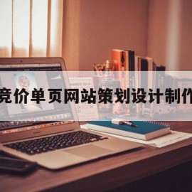 竞价单页网站策划设计制作(竞价单页网站策划设计制作方法)