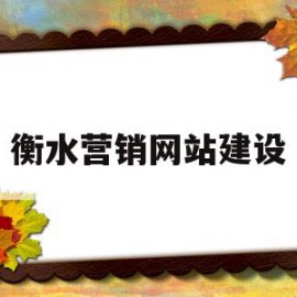 衡水营销网站建设(衡水网络科技有限公司)