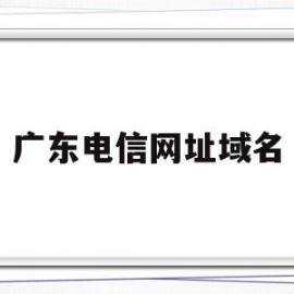 广东电信网址域名(广东电信服务器dns地址)